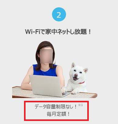 ソフトバンクエアー「Wi-Fiで家中ネットし放題！」